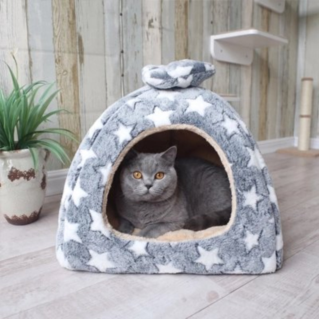 Chat gris confortablement installé dans maison pour chat gris à motifs d'étoiles 