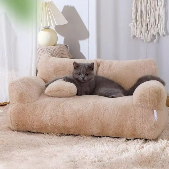 Chat gris aux grands yeux ronds confortablement installé sur un panier pour chat  beige