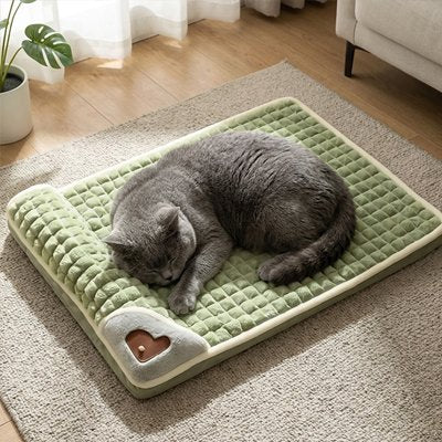 Chat gris endormis sur un lit pour chat  posé sur un tapis