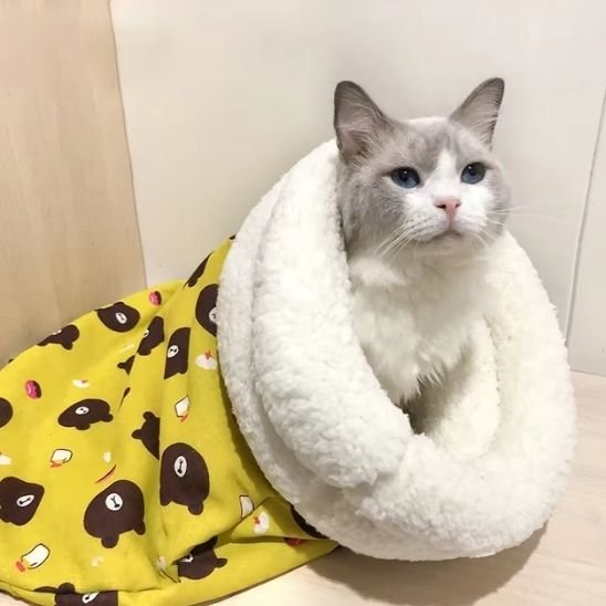 Chat gris et blanc allongé dans un panier pour chat de couleur jaune