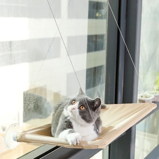 Chat gris et blanc allongé sur un hamac pour chats, regardant vers le haut avec curiosité