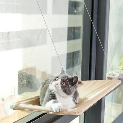 Chat gris et blanc allongé sur un hamac pour chats, regardant vers le haut avec curiosité
