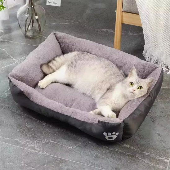Chat gris et blanc allongé confortablement dans un panier chat gris avec bordure noire