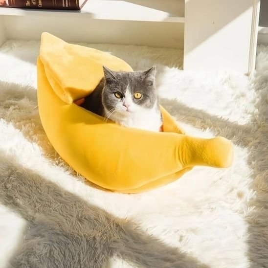 Chat gris et blanc aux yeux jaunes est installé dans un panier pour chat en forme de banane jaune
