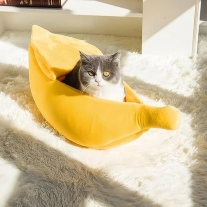 Chat gris et blanc aux yeux jaunes est installé dans un panier pour chat en forme de banane jaune