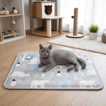 chat gris sur tapis rafraichissant chat