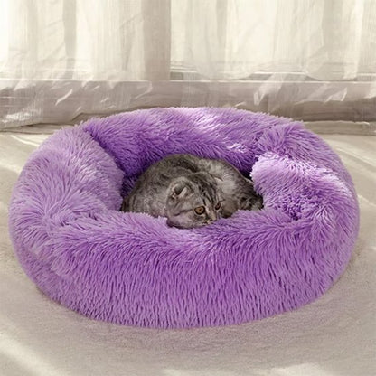 Chat gris tigré au centre d'un panier chat circulaire en peluche violette épaisse.