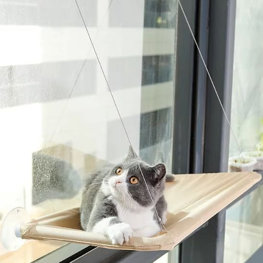 Chat gris et blanc installé sur un hamac fenetre chat