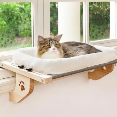 Chat installé sur un hamac pour chat fenetre, profitant de la lumière naturelle.