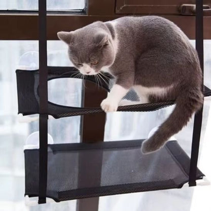 Un chat jouant sur un hamac chat fenetre