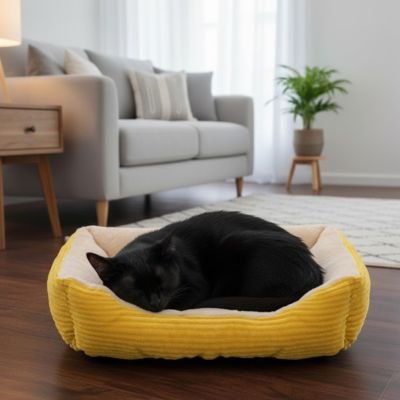 Un chat Noir endormis paisiblement dans un panier chat rectangulaire jaune
