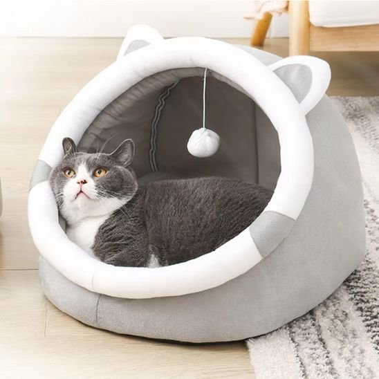 Chat noir et blanc allongé confortablement dans un Panier pour chat