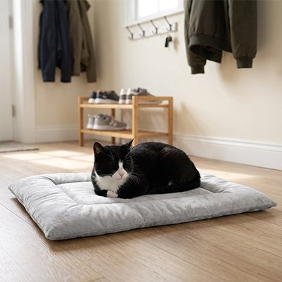 Chat noir et blanc sur un tapis chat posé au sol dans une entrée
