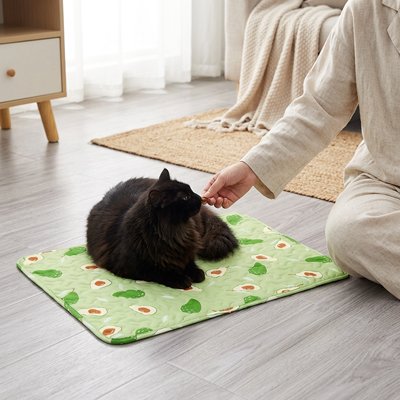 chat noir sur un tapis chat de couleur verte