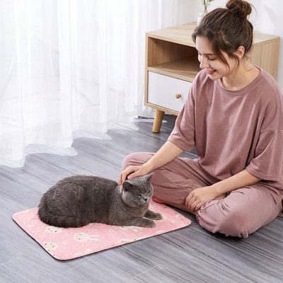 Chat noir sur un tapis chat 