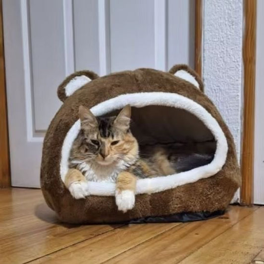 Un chat tricolore regarde depuis l'ouverture d'un panier pour chat en peluche en forme de tête d'ours