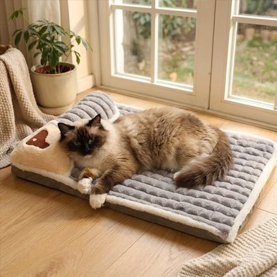 Chat à poils longs se reposant sur un lit pour chat près d'une fenêtre