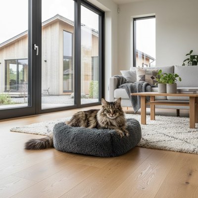 Chat aux poils longs repose paisiblement dans un lit pour chat