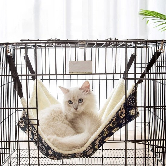 chat repose sur un hamac pour chat