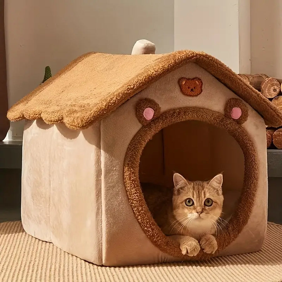 chat roux allongé dans une maison pour  les chats