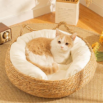  Chat roux allongé dans un panier chat osier tissé de forme ronde avec un coussin blanc moelleux