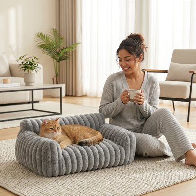 Chat roux allongé sur un coussin chat gris