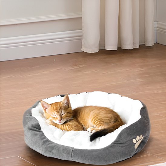 Chat roux endormis dans un panier chat de couleur gris et blanc
