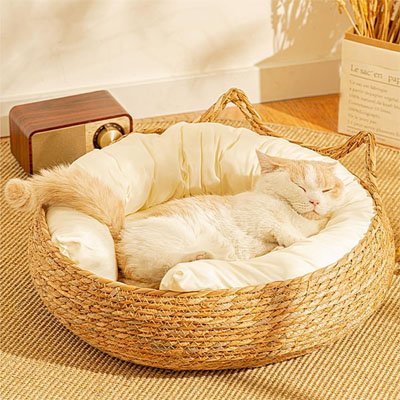 Chat roux endormis dans un panier chat osier tissé de forme ronde avec un coussin blanc moelleux