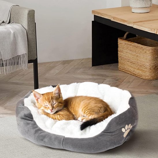Chat roux endormis dans un panier chat de couleur gris et blanc posé sur tapis