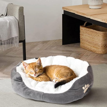 Chat roux endormis dans un panier chat de couleur gris et blanc posé sur tapis
