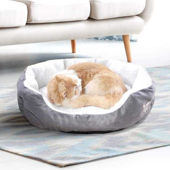 Chat roux et blanc endormi en boule dans un panier chat circulaire posé sur un tapis bleu