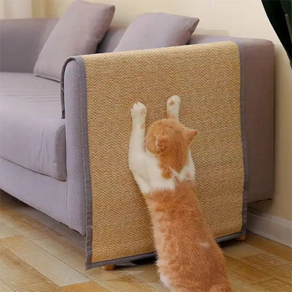 Un chat roux fait ses griffes sur un protege canape chat dans un salon lumineux