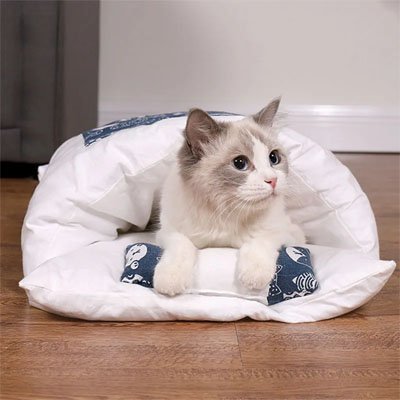 Chat se reposant calmement dans un lit pour chat blanc et bleu 