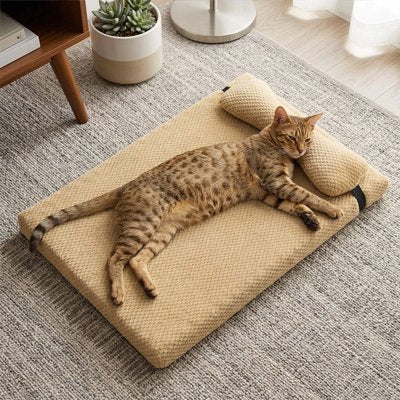 chat tacheté se reposant sur un lit chat rectangulaire de couleur beige