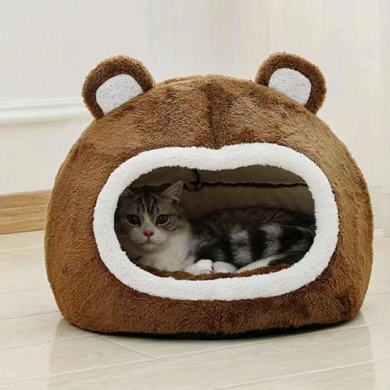 Chat se repose dans un panier pour chat en forme d'igloo avec des oreilles d'ours décoratives