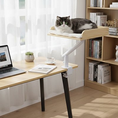 Chat sur un lit en hauteur pour chat fixé sur un bureau par un étau