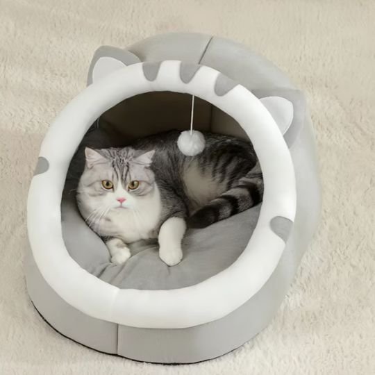Chat tigré allongé paisiblement à l'intérieur du lit chaton de couleur gris