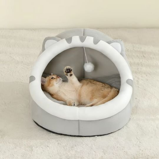 Chat tigré à l'intérieur du lit chaton s'amusant avec une balle de jeu suspendue