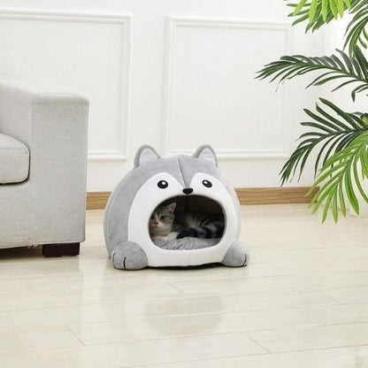 Chat tigré allongé dans un panier pour chat dans un salon lumineux 