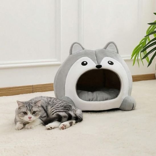 Chat tigré allongé devant un panier pour chat en peluche grise