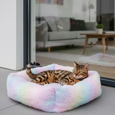 Chat tigré allongé confortablement sur un coussin pour chat