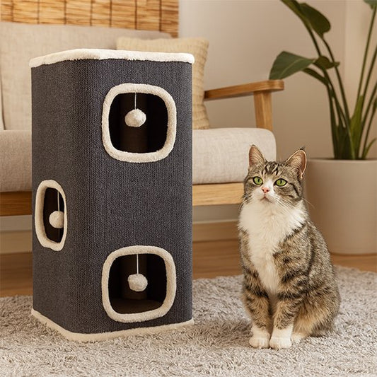 chat tigré assis à côté de maisons pour chat