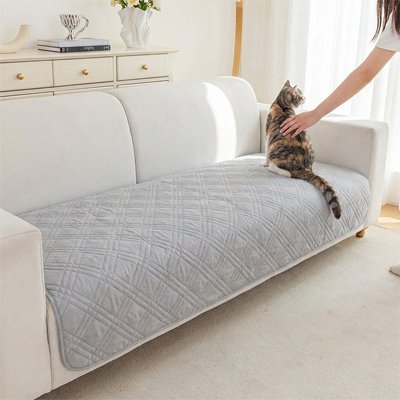 Chat tigré assis sur une protection canapé chat grise claire pour canapé beige