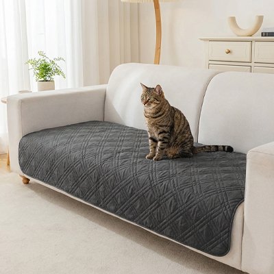 Chat tigré assis sur une protection canapé chat grise et matelassée pour canapé beige