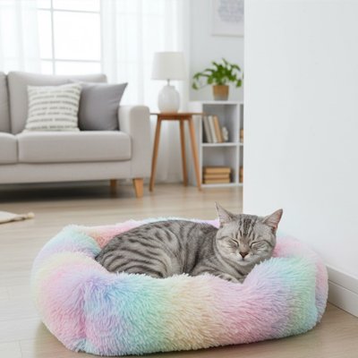  Chat tigré endormi sur un coussin pour chat aux couleurs de l'arc-en-ciel