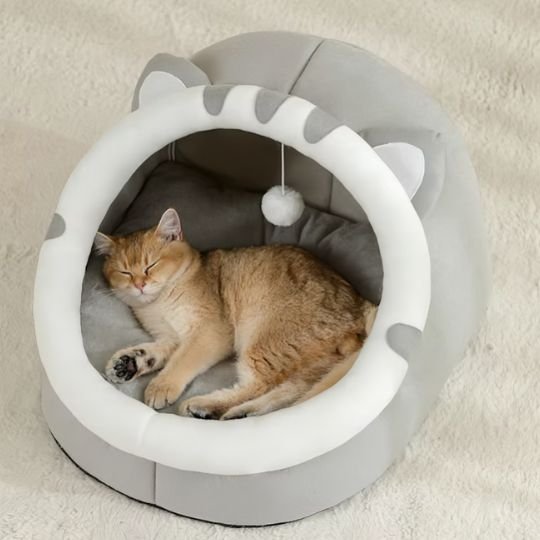 Chat tigré endormis paisiblement à l'intérieur du lit chaton de couleur gris