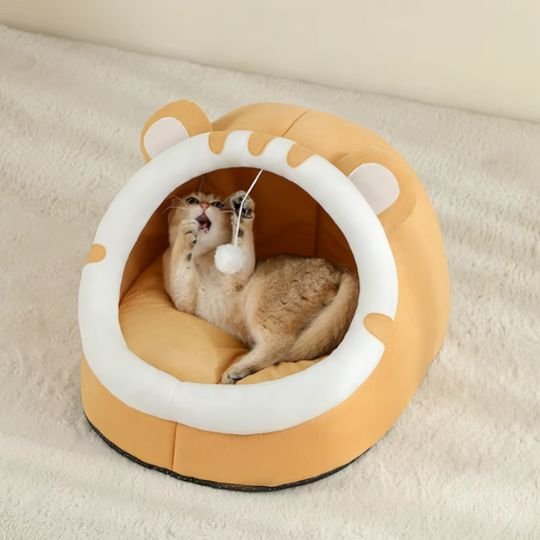 Chat tigré est allongé sur le dos à l'intérieur du lit chaton s'amusant avec une balle de jeu suspendue