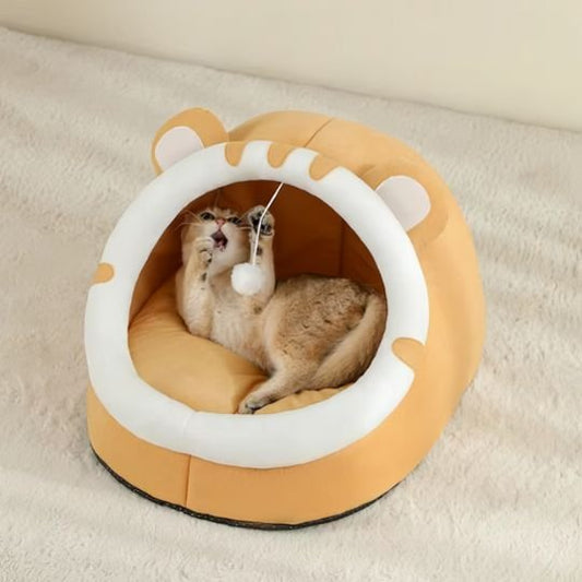 Chat tigré est allongé sur le dos à l'intérieur du lit chaton s'amusant avec une balle de jeu suspendue