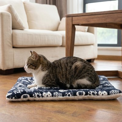 Chat tigré et blanc couché sur un tapis chat bleu marine à motifs japonais