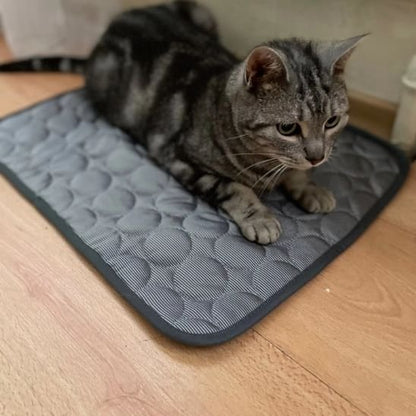 Chat tigre se repose confortablement sur un tapis rafraichissant chat